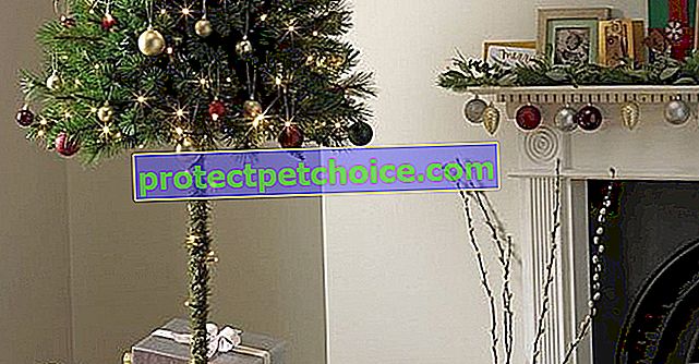 Zaščitite mačke in darila s to polovico božičnega drevesa!